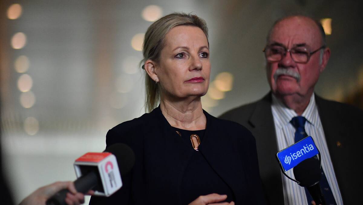 Federal Environment Minister Sussan Ley. Picture: Getty Images