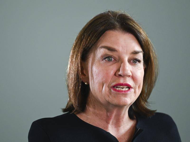 Australian Banking Association CEO Anna Bligh said the banking industry is working through a number of scenarios to meet customers needs post-COVID-19