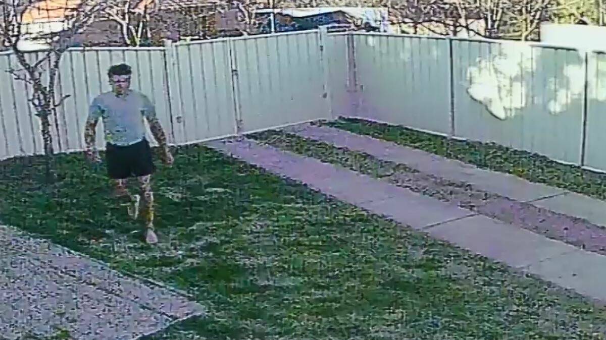 A still from surveillance footage of the man attacking the dog. Picture: Supplied
