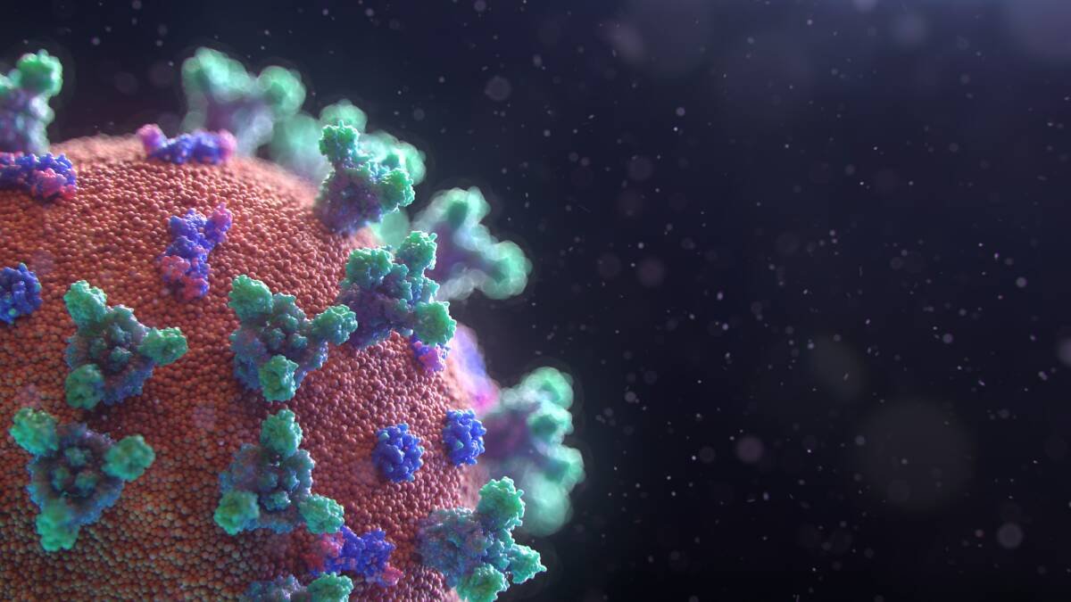 A student at Batemans Bay High School has tested positive to coronavirus. Picture: Shutterstock