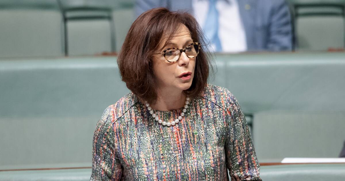 Dr Anne Webster is the Nationals MP for Mallee and chair of federal parliament's Standing Committee on Communications and the Arts. Picture: Sitthixay Ditthavong