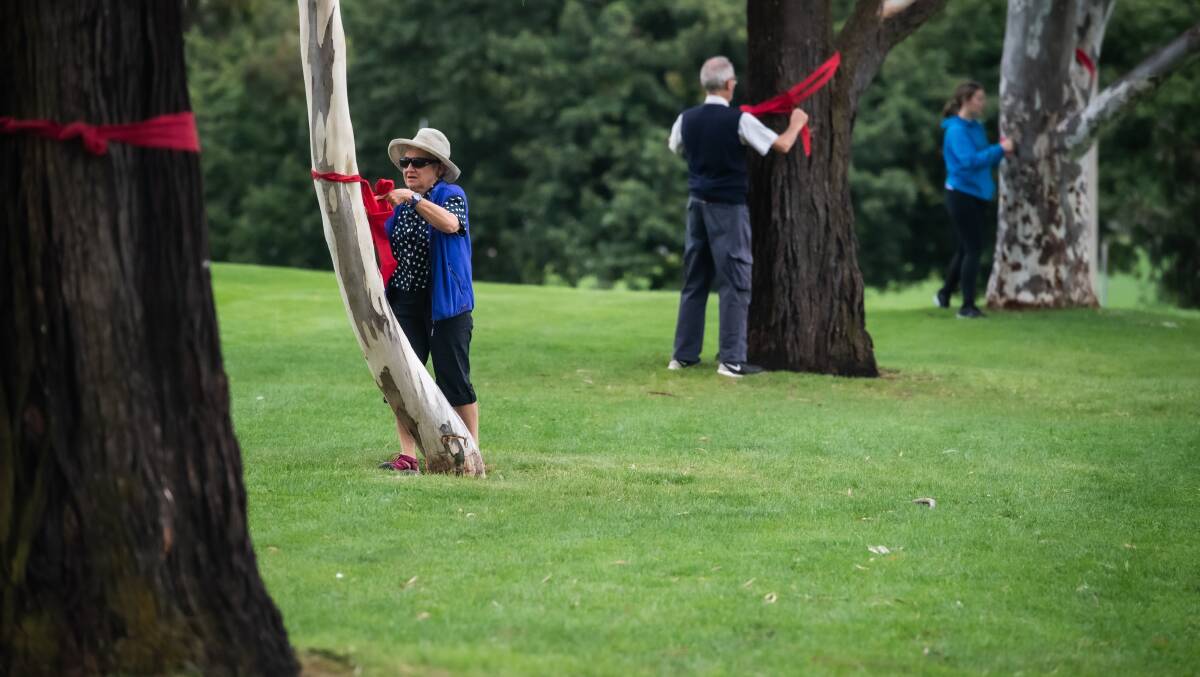 Concerned citizens tied red ribbons on trees marked for removal as a part of the Australian War Memorial's proposed expansion. Picture: Karleen Minney