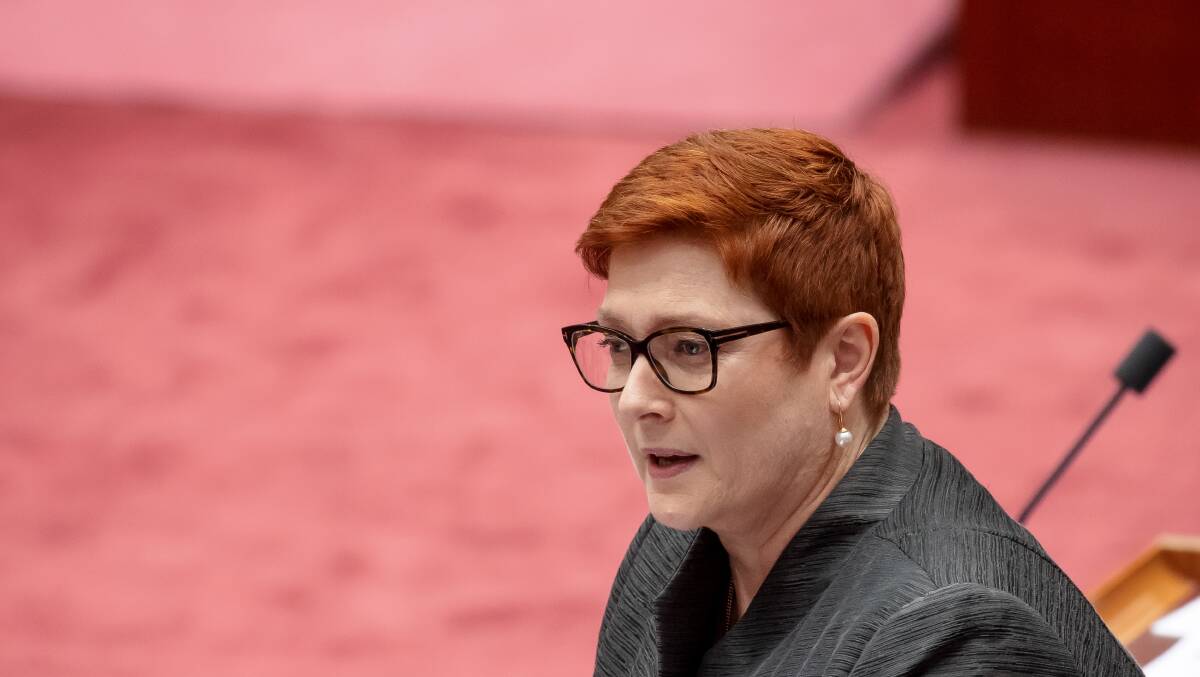 Minister for Foreign Affairs Marise Payne. Picture: Sitthixay Ditthavong