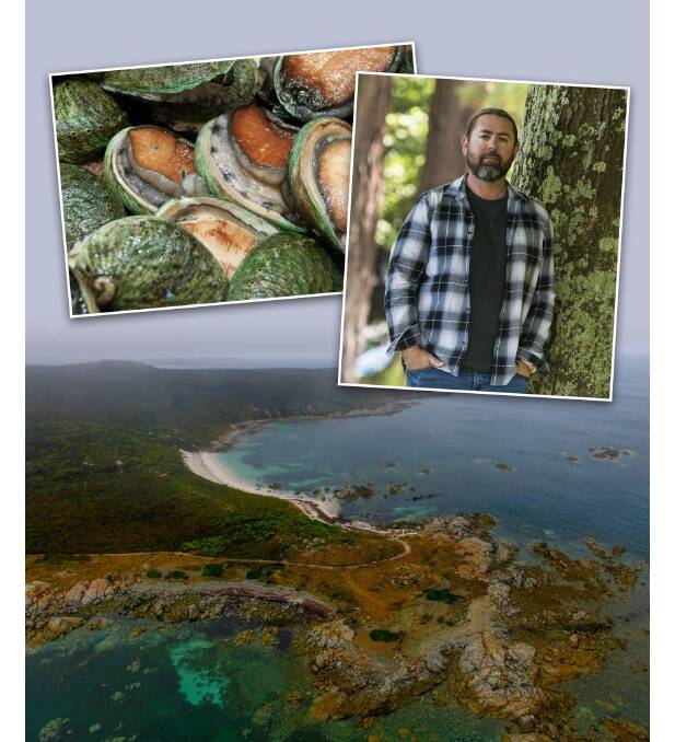 The shores of Cape Barren Island/truwana. Inset left - Abalone, also called muttonfish, nitipa or makarina. Inset right - pakana man Adam Thompson. Pictures: File