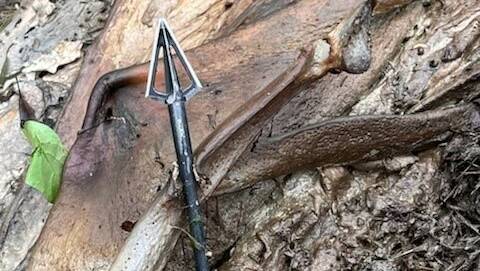 RURAL CRIME: The Stock Squad has revealed cattle thieves used arrows to kill a $3000 steer near Esk.