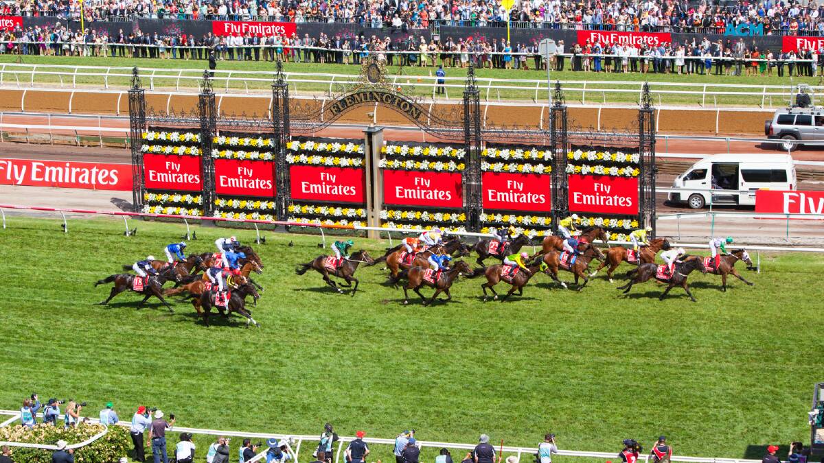 Historically, some Melbourne Cup barriers have proven more successful. File picture