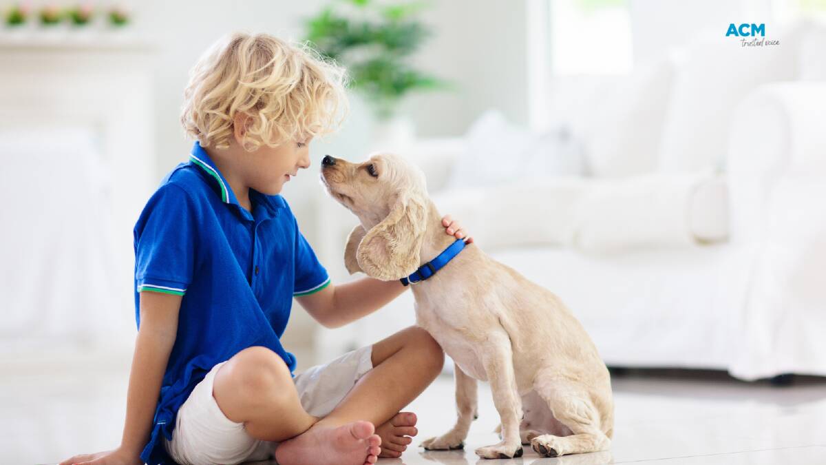 Your dog's DNA could bump up your pet insurance premium, new research has found. File picture