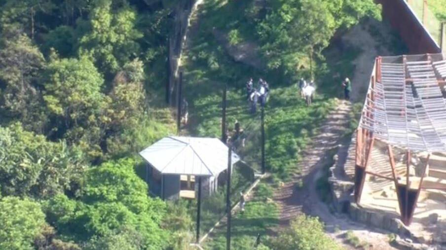 Aerial footage shows police and zookeepers checking fence lines inside the lion enclosure following the escape. Picture by 7News
