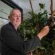ENDANGERED: Professor Peter Timms has developed a vaccine to save koalas from chlamydia.