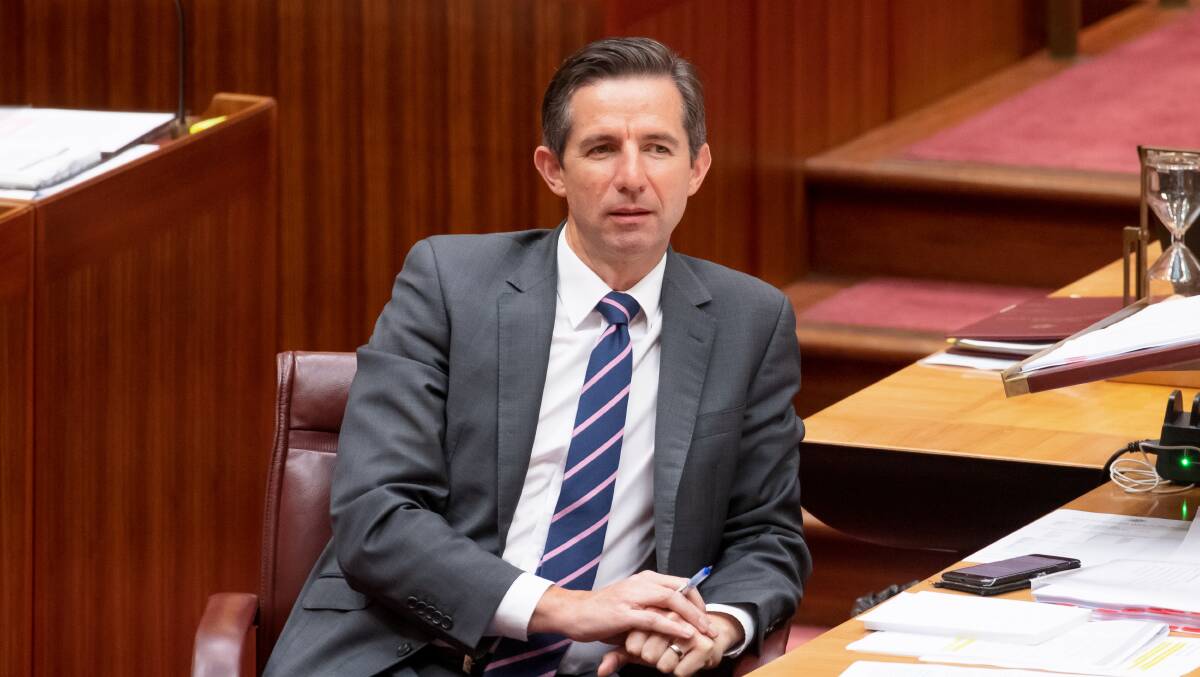 Finance Minister Simon Birmingham. Picture: Sitthixay Ditthavong
