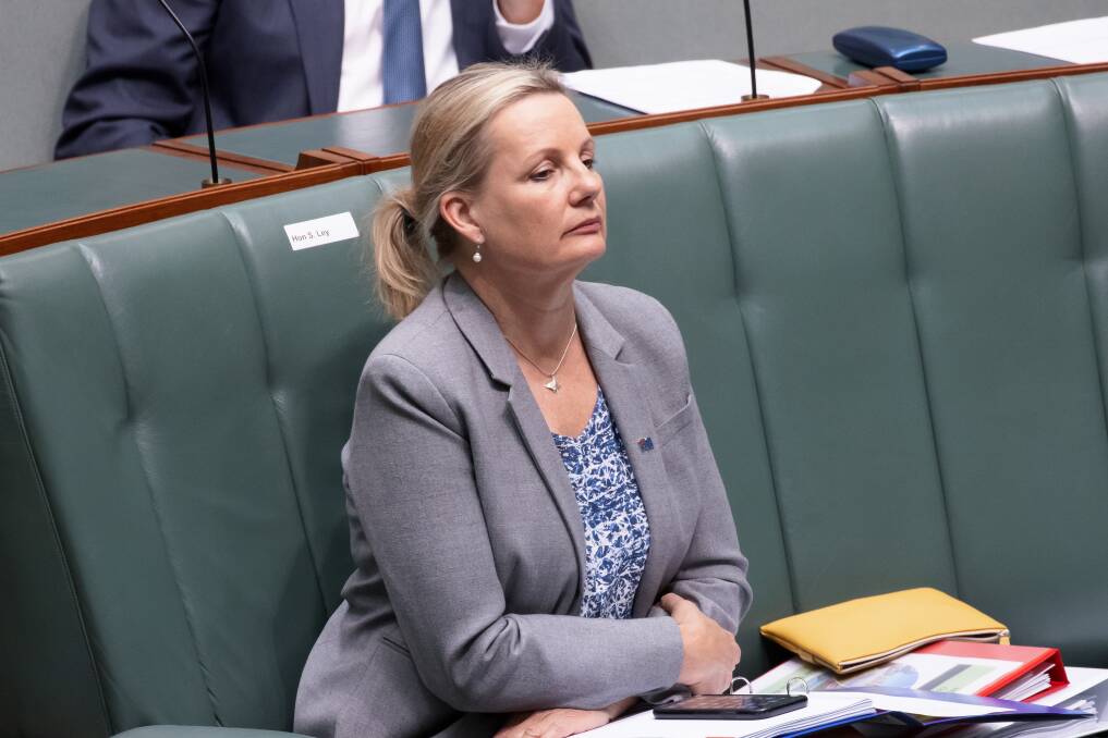 Federal Environment Minister Sussan Ley Picture: Sitthixay Ditthavong