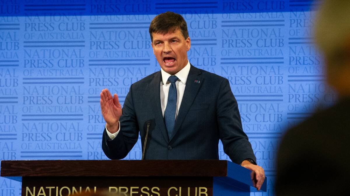 Energy and Emissions Reduction Minister Angus Taylor. Picture: Elesa Kurtz
