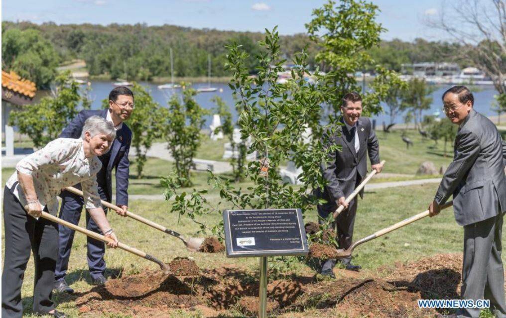 Brendan Smyth, pictured second from right, and Chinese ambassador Cheng Jingye at the ceremonial planting of the "tree of friendship" on November 18. Picture: Supplied