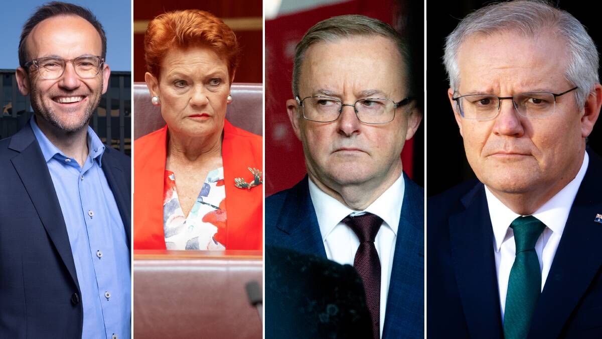 The Canberra Times asked all federals MPs and senators - including Adam Bandt, Pauline Hanson, Anthony Albanese and Scott Morrison - whether they backed the ACT's right to decide its own euthanasia laws. 