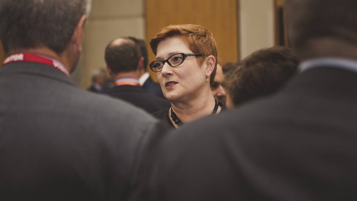 Foreign Minister Marise Payne has called for greater transparency around the China-Solomon Islands security pact. Picture: Jamila Toderas