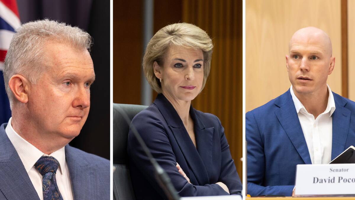 Workplace Relations Minister Tony Burke, opposition spokeswoman Michaelia Cash and ACT independent David Pocock are at odds over the government's industrial bill. Pictures by Keegan Carroll, Sitthixay Ditthavong