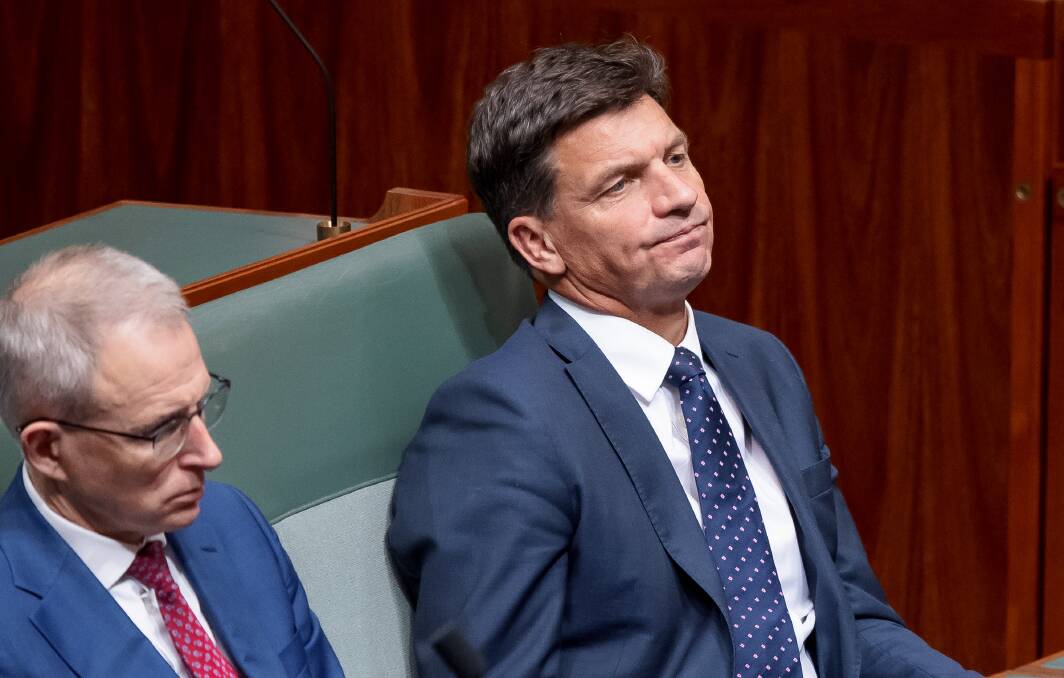 Energy Minister Angus Taylor Picture: Sitthixay Ditthavong