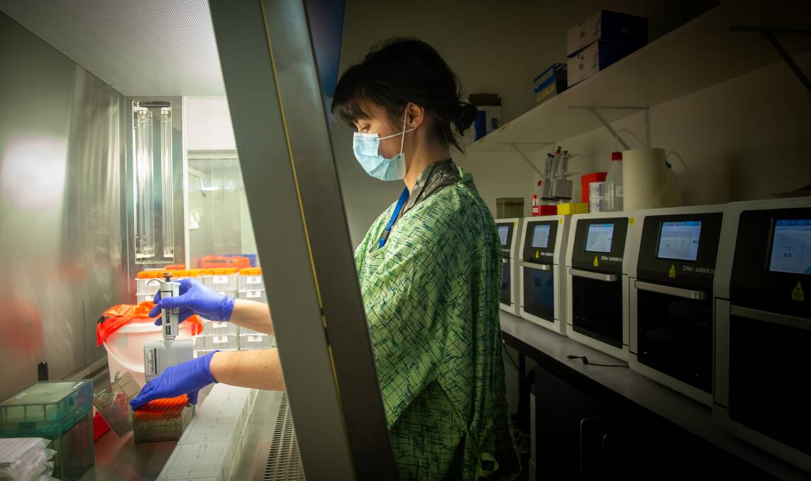 Capital Pathology scientific officer Aleesha Maglaya moves RNA extract into a storage plate. Picture: Elesa Kurtz