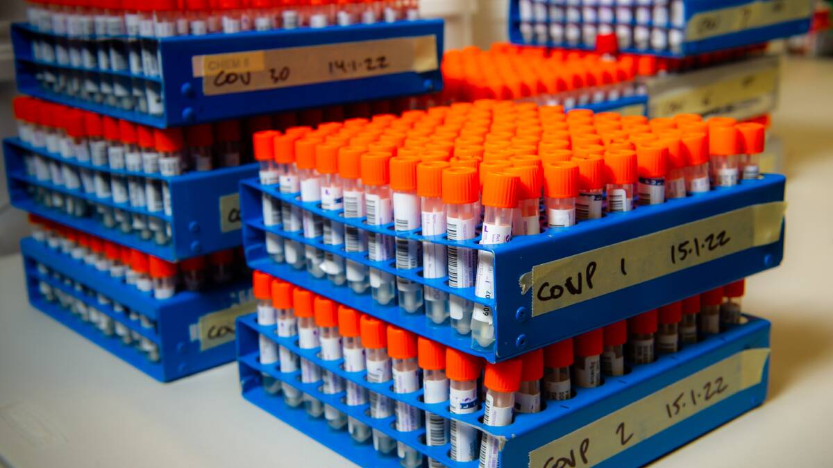 Stacks of PCR tests awaiting processing during Canberra's Omicron surge. Picture: Elesa Kurtz