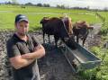 Kempsey dairy farmer, Wade Francis, is using sport gym mats in his dairy to keep his herd dry after relentless rain since the start of the year. Photo: Samantha Townsend