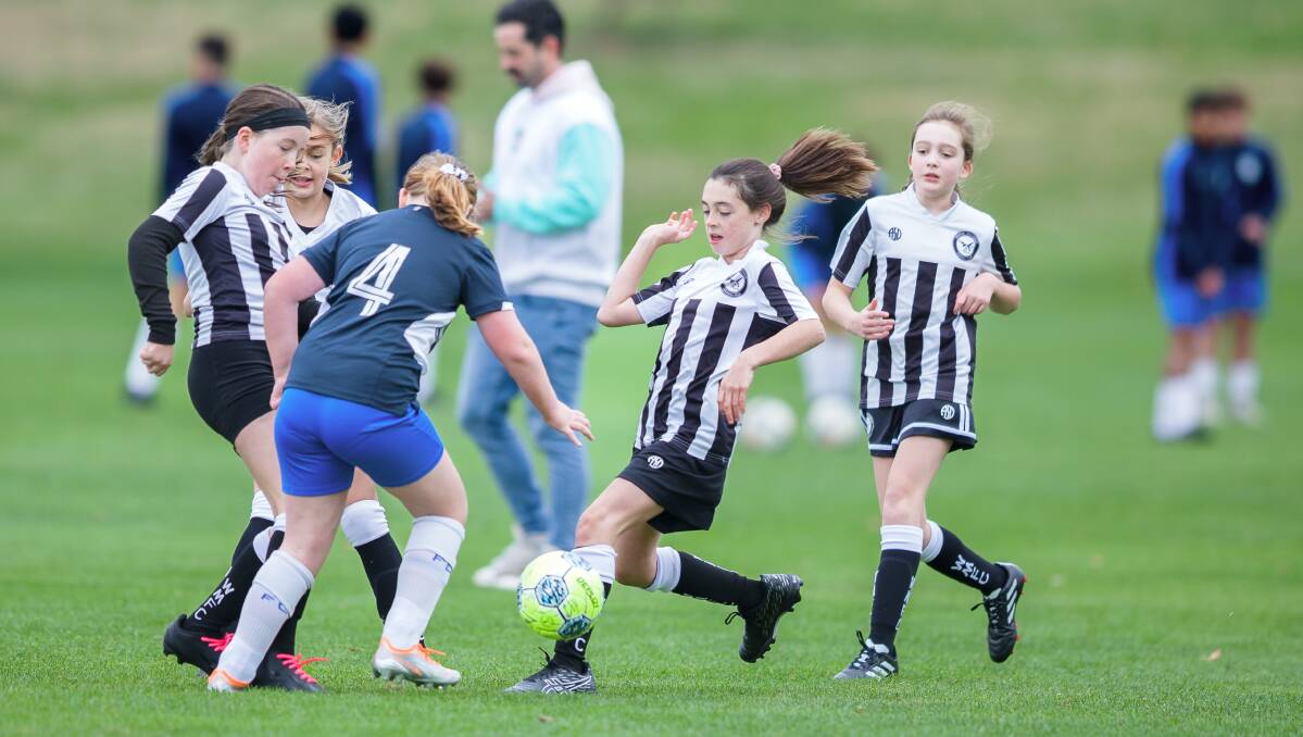 Weston Creek Molonglo's Alexis Whittaker. Picture by Sitthixay Ditthavong