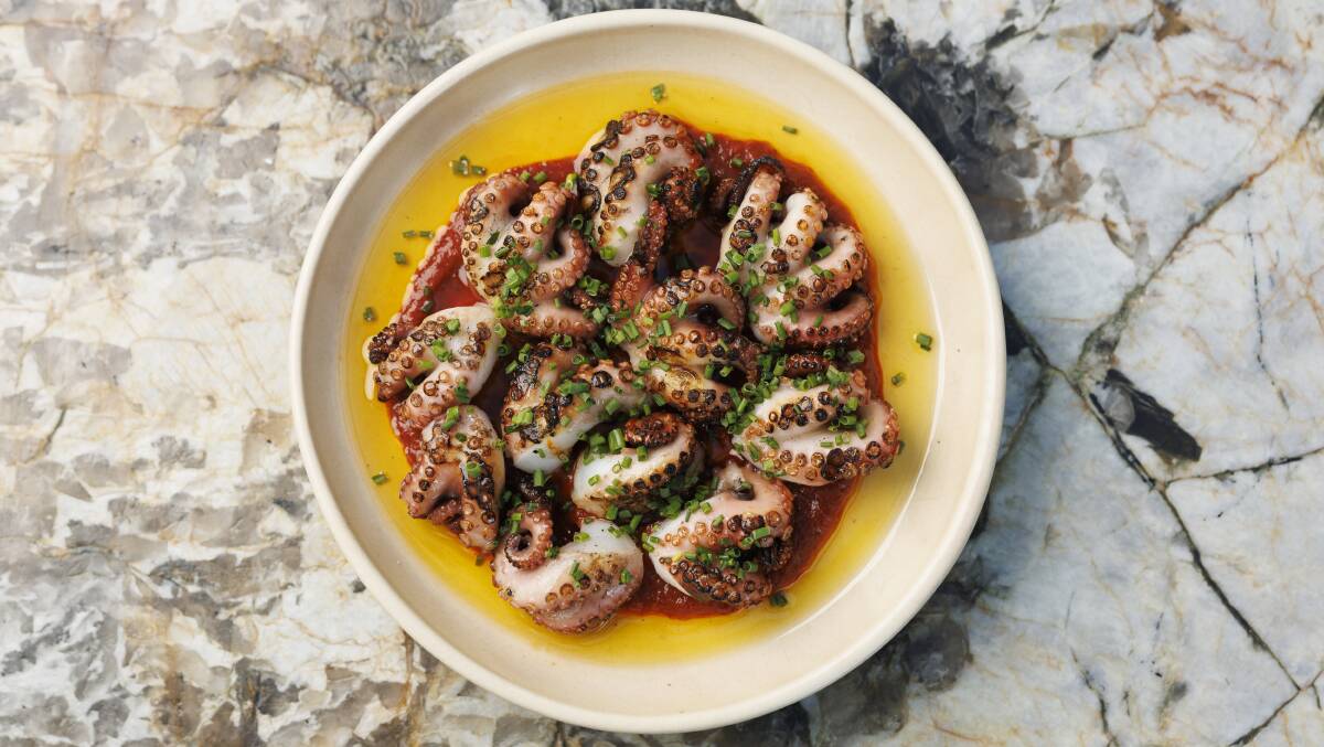 Barbecue octopus with harissa dressing. Picture by Keegan Carroll 