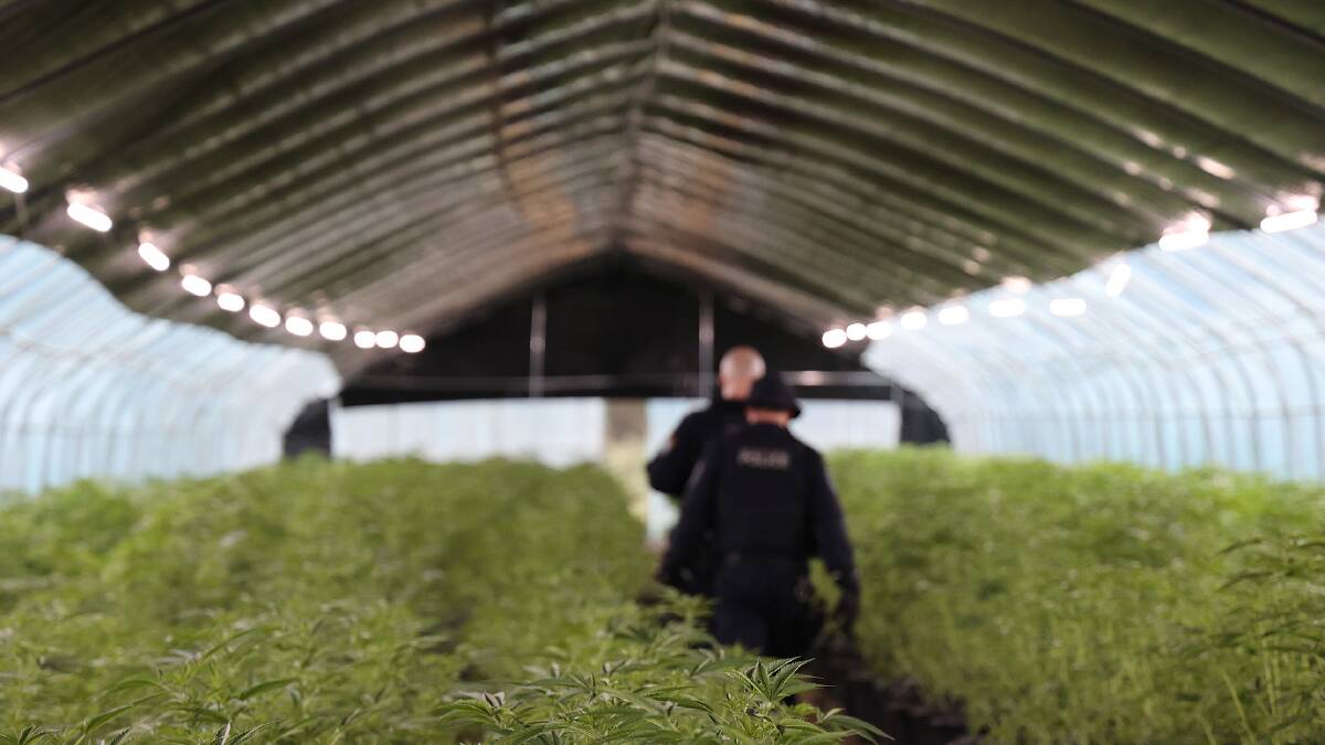 One of the 20 large greenhouses on the property raided by police. Picture: NSW Police