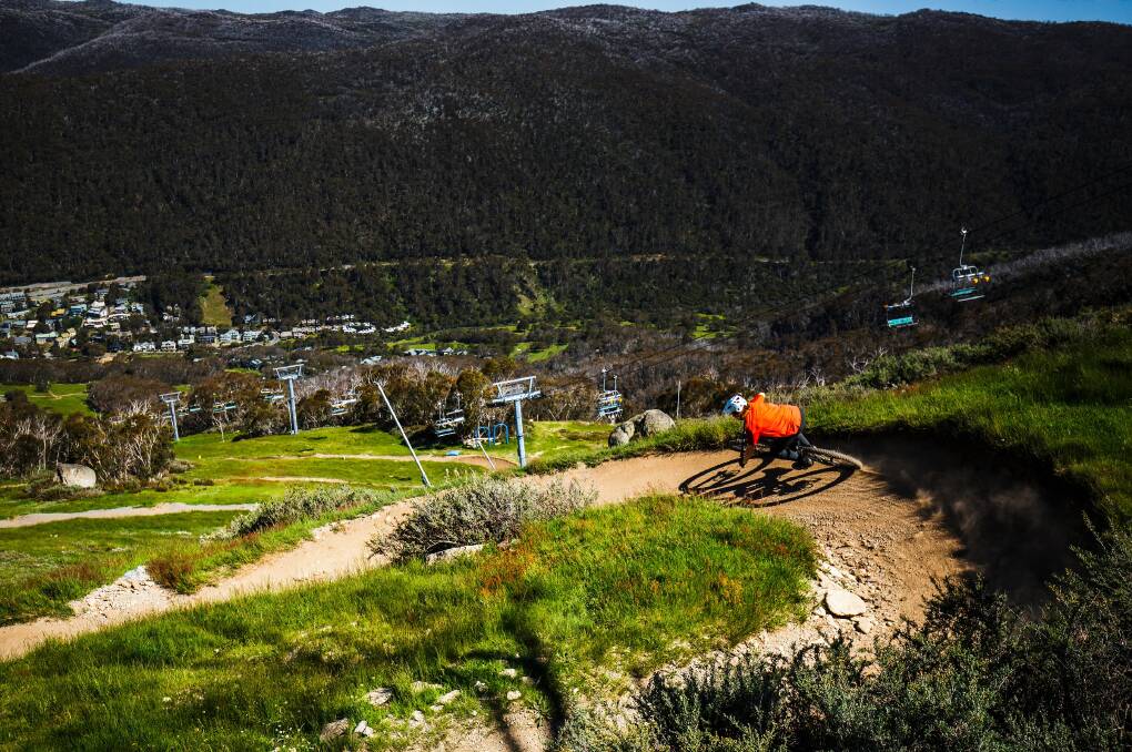A rider plunges down a gravity trail at Thredbo. Picture: Thredbo