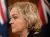 Defence Minister Judith Collins says it is critical that NZ works to build back its defence force. (Joel Carrett/AAP PHOTOS)